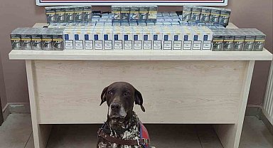 Kayseri'de kaçak sigara operasyonu