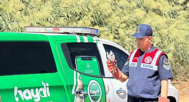 Kilis'te yaralı ak çaylak kuşu bulundu