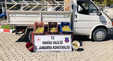 Kırkağaç'ta meyve bahçesinden incir çalan 5 kişi suçüstü yakalandı