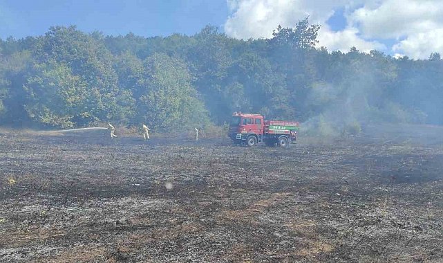 Kırklareli'nde örtü yangını: 25 dekar alan zarar gördü
