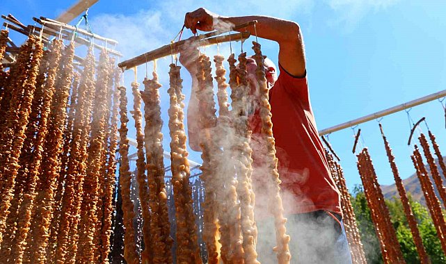 Kış sofralarının vazgeçilmezi: Orcik mesaisi başladı
