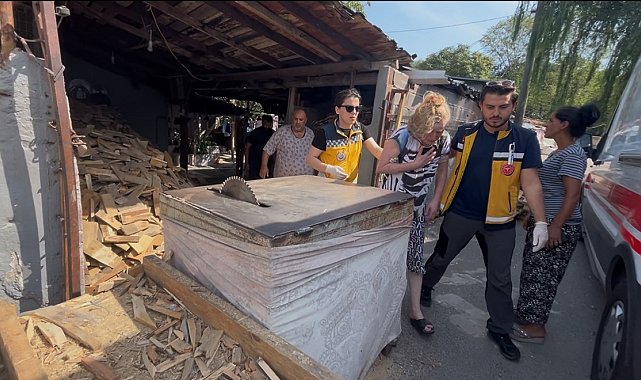 Kışlık yakacak derdine düşen kadının talihsiz anı: Diskten fırlayan tahta parçası yüzünden yaraladı