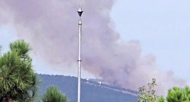 Kocaeli'de ormanlık alanda yangın çıktı
