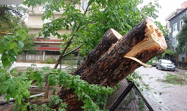 Kocaeli'de sağanak: Yıldırım evin çatısına düştü