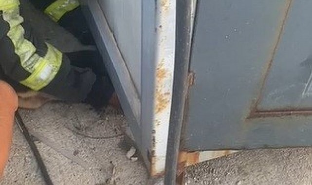 Konteyner altında sıkışıp mahsur kalan yavru köpeği itfaiye ekipleri kurtardı