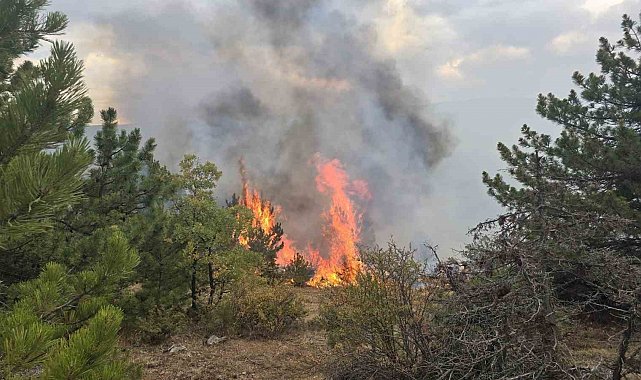Konya'da ormanlık alanda çıkan yangın söndürüldü