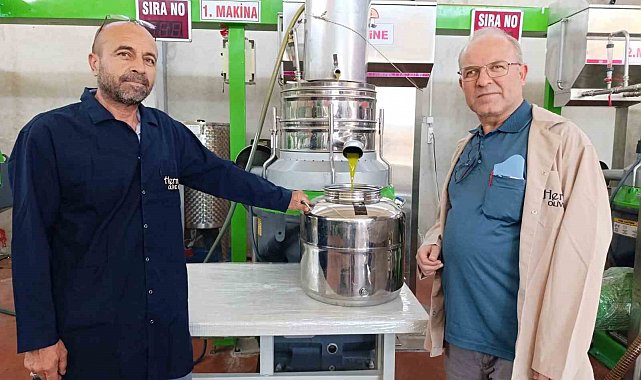 Köprübaşı'nda zeytin sıkım sezonu başladı