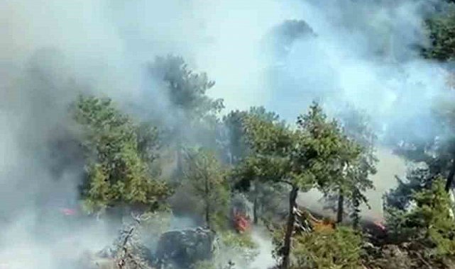 Köyceğiz Otmanlar yangını devam ediyor