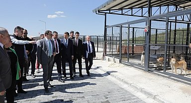Kütahya Valisi Işın'dan Şaphane'de yapımı tamamlanan hayvan barınağında inceleme