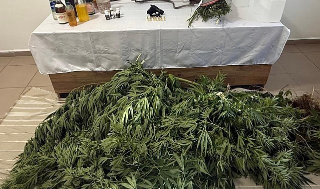 Kütahya'da jandarmadan uyuşturucu ve kaçakçılık operasyonu