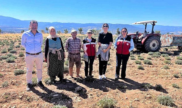 Kütahya'da ürünlerin organik geçiş sertifikasyon işlemleri için parsel kontrolleri ve numune alımları