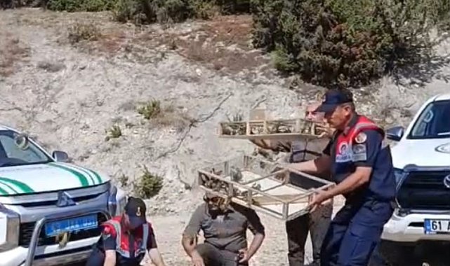 Kütahya'da yakalanan 142 saka kuşu doğaya salındı