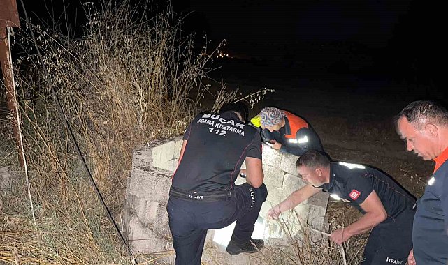 Kuyuya düşen kedi itfaiye tarafından kurtarıldı