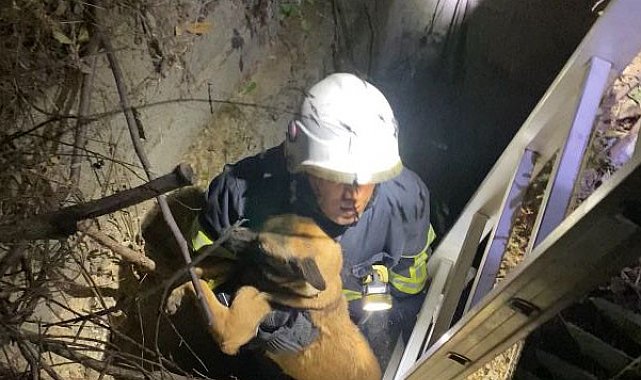Kuyuya düşen köpeği itfaiye kurtardı