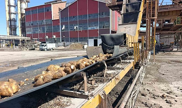 Malatya Şeker Fabrikası'nda 62 bin ton şeker üretimi hedefleniyor