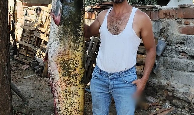 Manisa'da oltayla 2 metrelik yayın balığı yakaladı