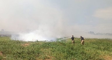 Manyas ve Bandırma arasında sazlık alanda yangın çıktı