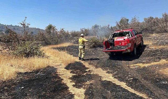 Mardin'de çıkan orman yangını söndürüldü