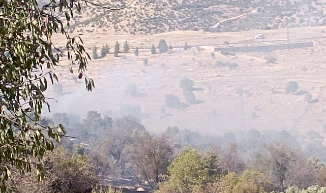 Mardin'de çıkan orman yangını söndürüldü