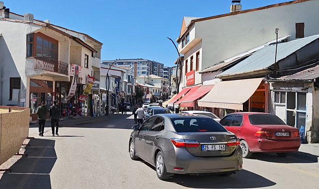 Merkez üssü Aşkale'deki 4.4 büyüklüğündeki deprem Tercan'da da hissedildi