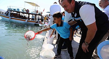 Milas Boğaziçi'ne 150 bin çipura ve 10 bin levrek yavrusu bırakıldı