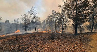 Muğla Büyükşehir İtfaiyesi Milas ve Köyceğiz'de alevlerle mücadele ediyor