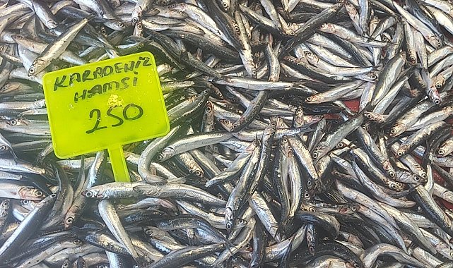 Muğla'da Karadeniz hamsisi kilosu 250 TL'den satışta
