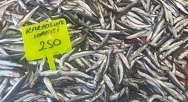 Muğla'da Karadeniz hamsisi kilosu 250 TL'den satışta