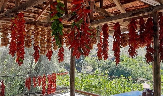 Muğla'da kış hazırlığı renkli görüntüler oluşturdu