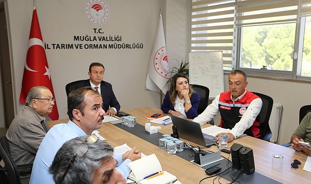 Muğla'da zeytin rekolte tahmini toplantısı yapıldı