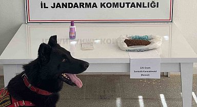 Muş'ta uyuşturucu operasyonu: 2 gözaltı