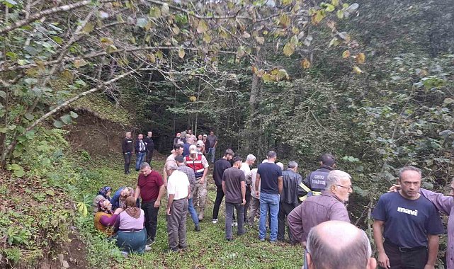 Ordu'da feci kaza: Uçuruma yuvarlanan patpatın altında can verdi
