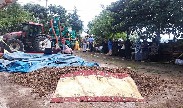 Ordu'da silahlı saldırı: 2 ölü