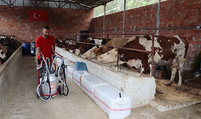 Ordu'da sütün değeri artıyor