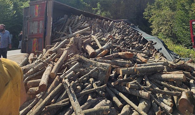 Ordu'da tomruk kamyonu devrildi: 21 ton tomruk yola saçıldı