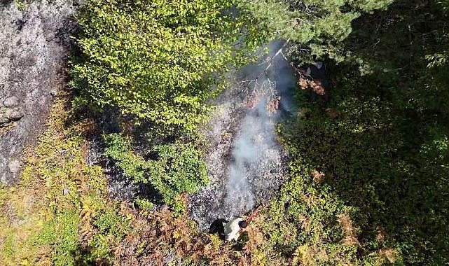 Orman yangınının 2'nci gününde de soğutma çalışmaları sürüyor