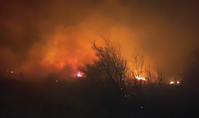 Osmaniye'de makilik yangını söndürüldü