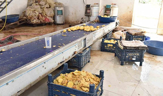 Otel ve restoranlara verilen 1,5 ton işlenmiş patates imha edildi