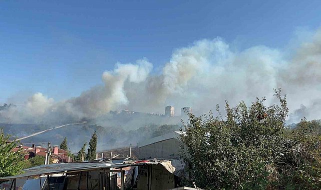 Otluk alanda çıkan yangın, fabrikaları ve villayı tehdit etti