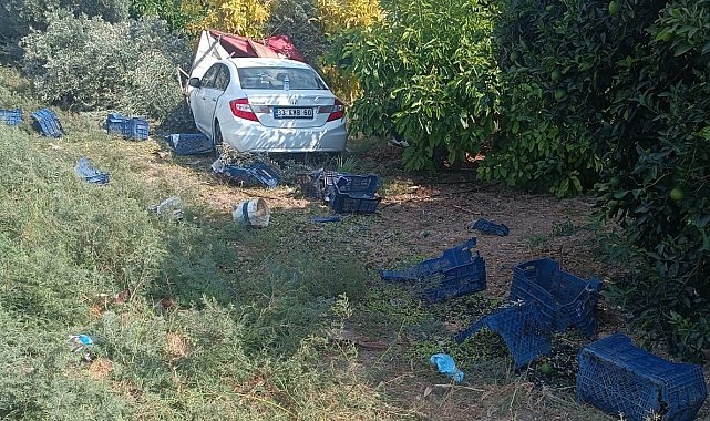 Otomobil bahçeye daldı: Hasat yapan işçilerden 1'i öldü, 3'ü yaralandı