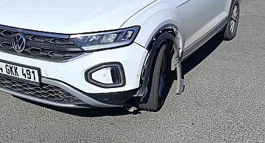 Otomobilin çarptığı köpek telef oldu