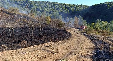Pazaryeri Bozcaarmut'ta orman yangını