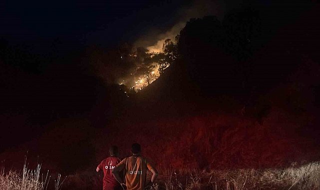 Pınardere yangını kontrol altına alındı