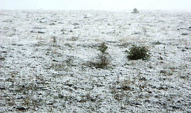 Posof'ta kar yağışı