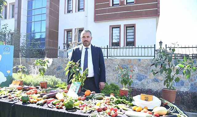 Pursaklar Belediyesi 'Ata Tohumları'ndan elde ettiği sebzelerin hasadını yaptı