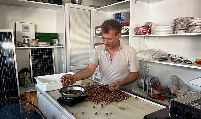 Rekolte düşüklüğü fındık fiyatlarını yükseltti