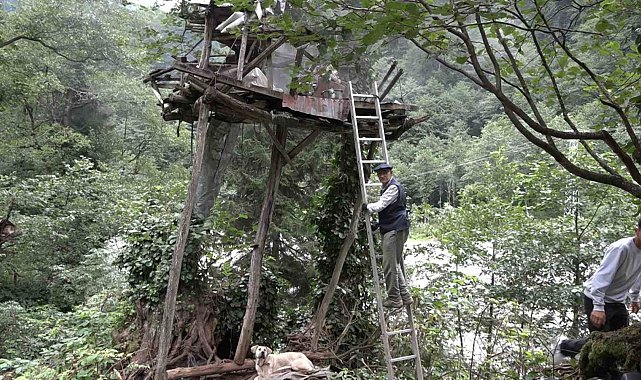 Rize'de karakovan balı Anzer Balı'nı solladı