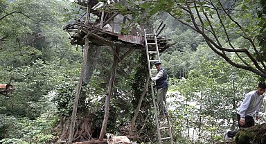 Rize'de karakovan balı Anzer Balı'nı solladı