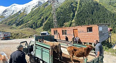 Rize'de yaylalardan dönüş erken başladı