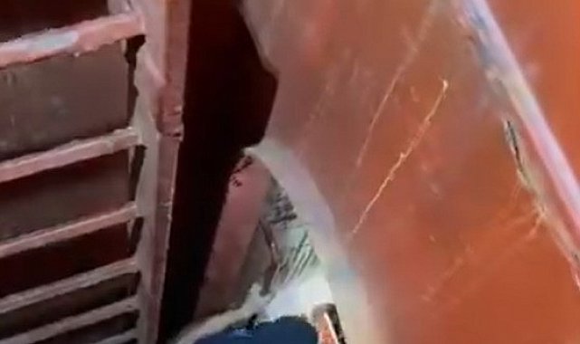 Safiport Limanı'nda geminin ambarına düşen işçi yaralandı